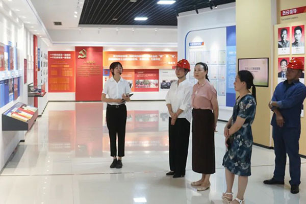 市國資委黨委副書(shū)記胡琳率隊到公司督導檢查