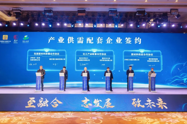 集團參加瀘永江產(chǎn)業(yè)協(xié)作推介會(huì )